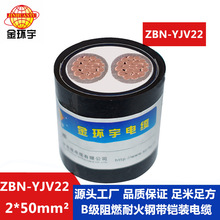 金環宇電纜 深圳yjv22鎧裝電纜 阻燃耐火電纜ZBN-YJV22-2X50平方