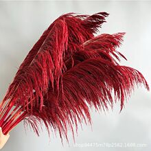 �tɫ�JȔ�ɻ������滨ֲ���JȔ�J���bҾә����������ձ������l