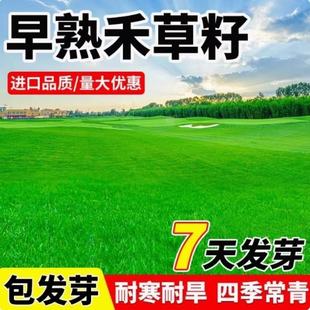 ����̲��Ѳ�ƺ�ݷN�������`̤�ͺ��ļ�����N��ͥԺ�e���G���N��