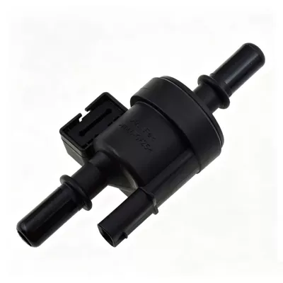 valve F4J16-1130011, Yanacaq injektoru (Forsunka)