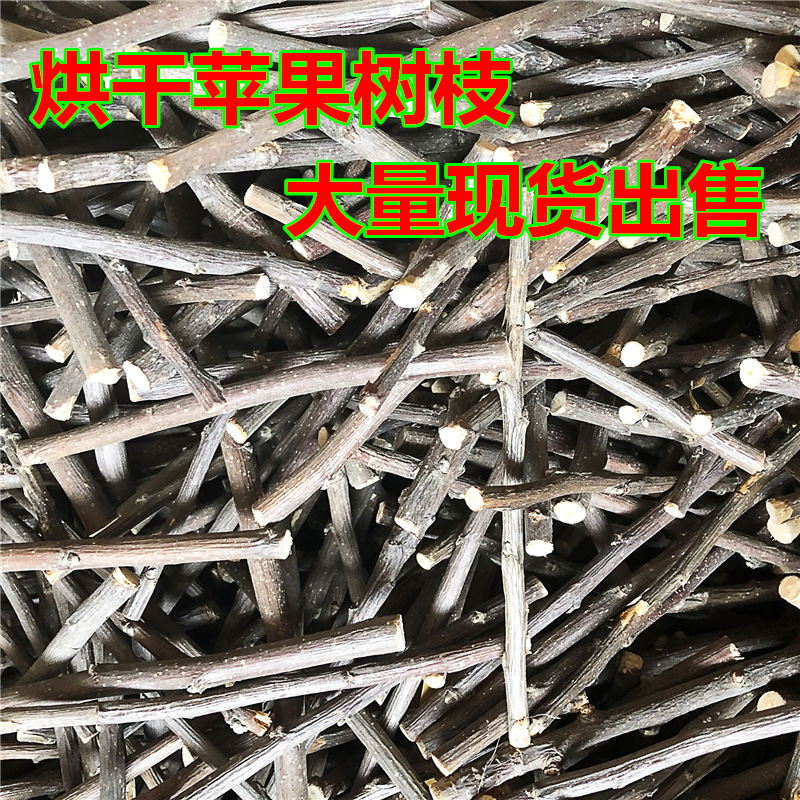 Pet Grinding Stick Apple Branch Rabbit Totoro Hamster Golden Bear Guinea Pig Bite Wood Apple Branch Apple Branch