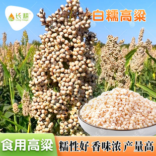 ʳ�ð׸����N��ɽ����Ŵ��Ŵһ̖�N�Ѵ������ļ��̨�����s�Z�N��