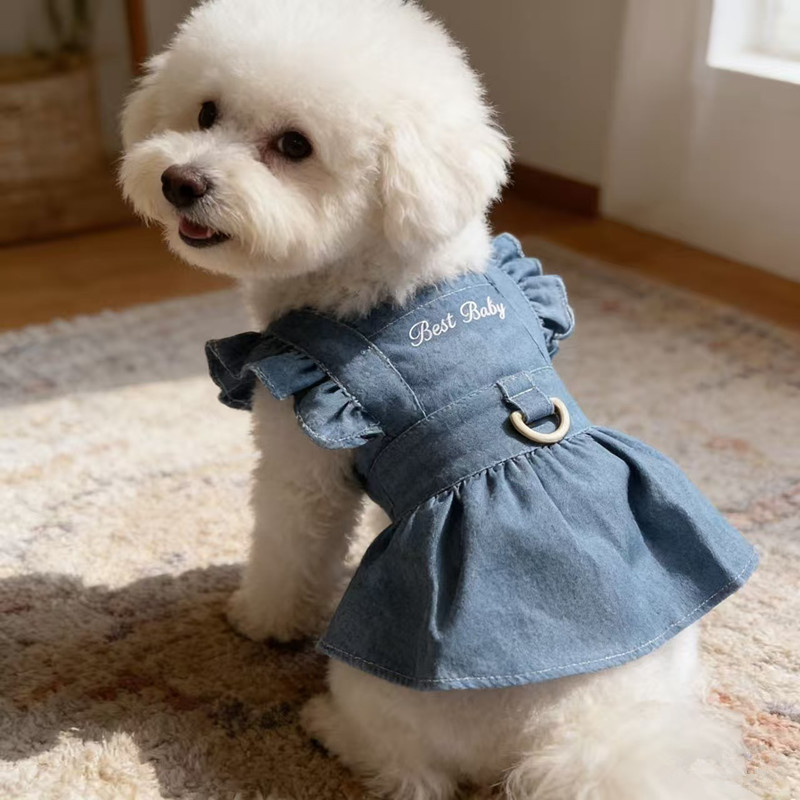 애완 동물 옷 고양이 테디 비숑 옷 봄과 여름 얇은 드레스 파란색 수 놓은 문자 데님 견인 스커트