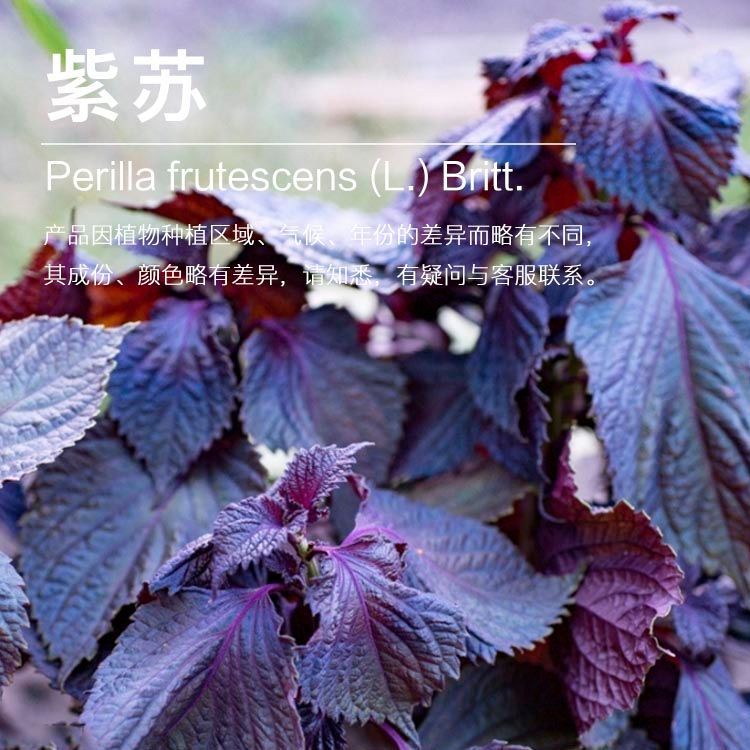 ��Ӧ���մ�¶ ����������ȡ   ԭ������ ��ӭ��ѯ��ⱸ��������