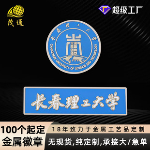 Metal Enamel Badge Customized University Student Badge Zinc Alloy School Brooch Corporate Logo School Badge Customized