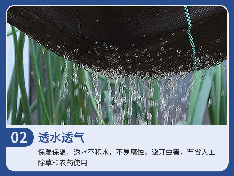 未标题-1_13.jpg