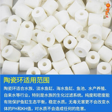 ~մɭhǲhˮh~ˮ^Vϼl