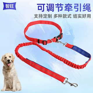 跑步牵引绳金毛泰迪遛狗绳带可调节多功能弹性拴狗绳狗狗牵引绳