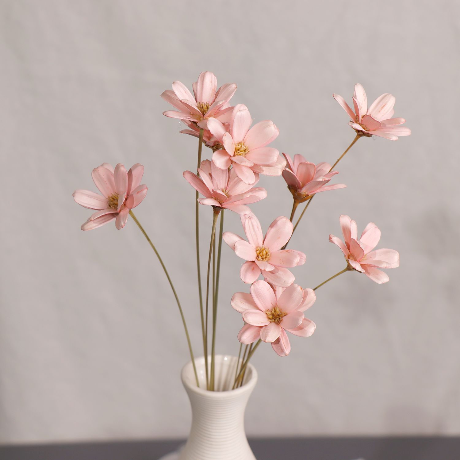 Semillas de melón hechas a mano pequeñas flores secas semillas de melón cáscara colorida flores inmortales fábrica Yunnan al por mayor Día de la Madre 520