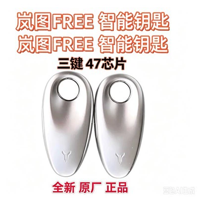 Suitable for Lantu Free Key Car Keys