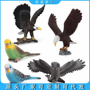 �羳Ұ��؈�^�����^����������w���B�ģ�̓�ͯ��Ƥ�W�^�b[��
