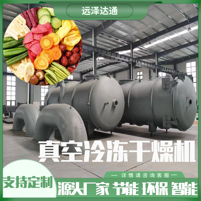 山药糖葫芦冻干设备 水果食品冻干加工 大型真空干燥冻干机