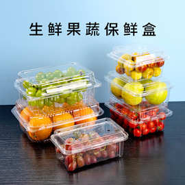 速递pet塑料一次性水果盒果蔬包装盒超市外卖草莓盒底部无孔100个