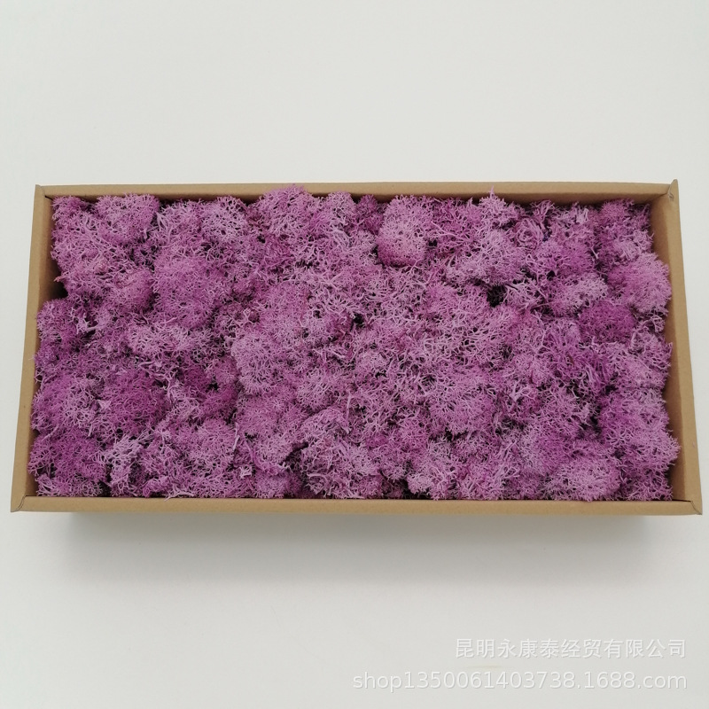 Musgo al por mayor de musgo peso neto 200g caja de regalo flores de musgo eternas accesorios para el hogar tiro ventas directas de la fábrica