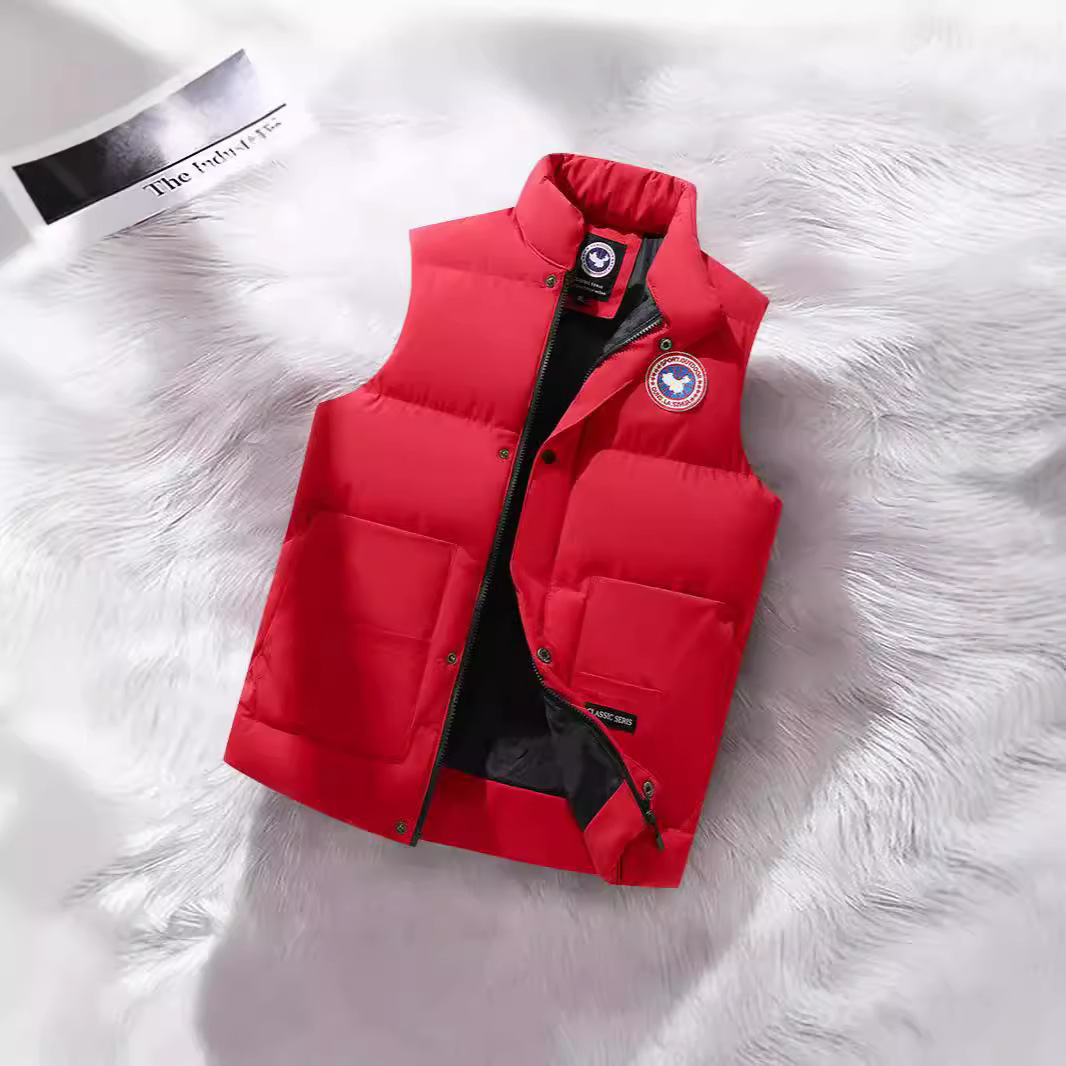 Cross-Border Autumn and Winter Hot-Selling down Cotton Vest, Casual Sleeveless Vest, Couple Style, Group Purchase, Stand-Up Collar, Clearance Sale