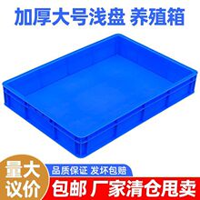 ���Ϸ��P�L���Μ\�P��©ˮ�ռ{����������бP���D���Bֳ�B���z��