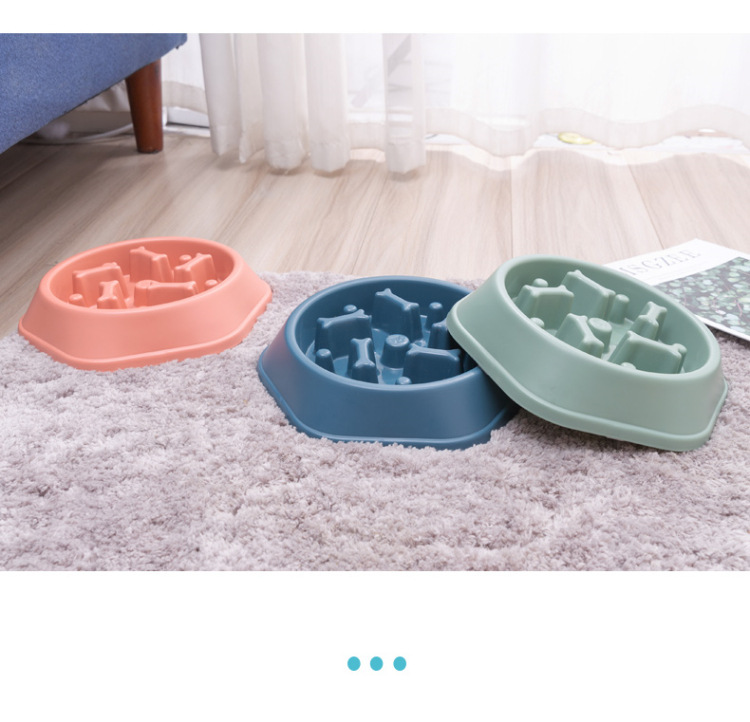 Personalized Slow Feeder6