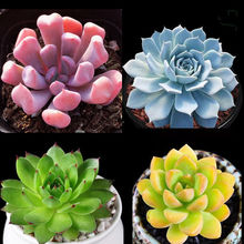 ����ֲ�����ԽM�϶����Ϙ���¶�������ҵ���������ֲ���҃��׳ɻ�