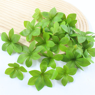 ����3d�z���Gֲ���~ DIY���~���R�~ �Ҿӈ@���b��~�ӏS�����l