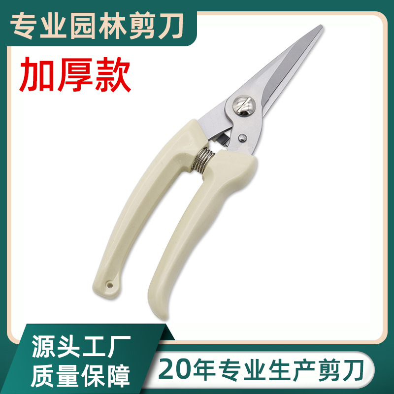 厂家批发加厚直头摘果剪园艺修枝摘花枝剪工具修枝剪花枝剪树枝剪