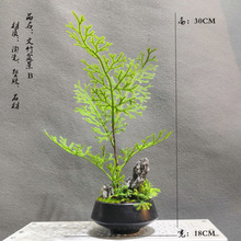 ʽٻUʽ辰҃k׾Gֲbˇ