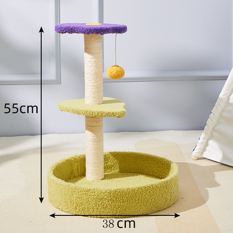녹색 둥지 잎 꽃 플랫폼