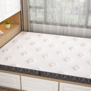 Wholesale Mattress Natural Coconut Palm Latex Hard Palm Children's Student Dormitory Home Tatami Folding Palm Mat