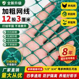 跨境养鸡网拦网养殖网菜园围网山鸡网围栏网尼龙网高强度尼龙网