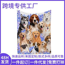 ���Ԅ����ë̺�D�����R�d�羳���u����ɳ�l����ܛ����؈