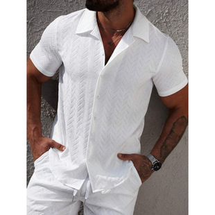 Y 48844 ���uͨTEMU�羳�＾���Q����ʿ�ļ����e��ɫ�y�������r��