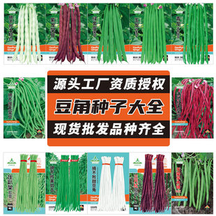 ���S���l���ǷN�Ӵ�ȫ�L�����ļ����N�Ѽܶ��ض����＾ܿ�����ѷN