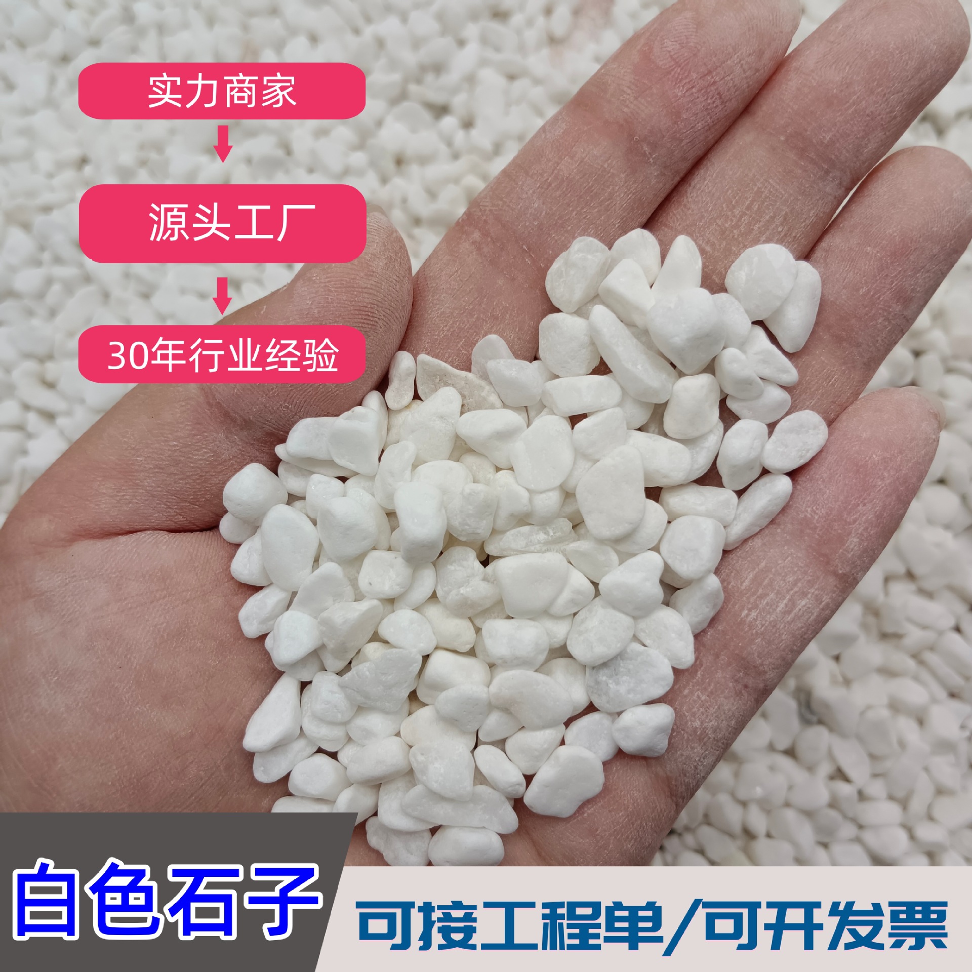 庭院白石子鹅卵石园林造景铺路室内装饰白卵石水磨石地面白色碎石