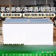 节能省电玻璃门推拉冰柜卧式冷藏水柜商用冰箱雪糕冷冻小型双温跨