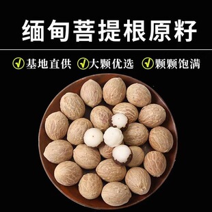 �S�ҹ��� �������ԭ��ԭ�� ��������ɏ�� ��������l24-26�ߴ�