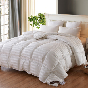 Iceland Five-star Hotel Washable Down Quilt Hungary 95 White Goose Down Thickened Winter Quilt Spring and Autumn Quilt Core
