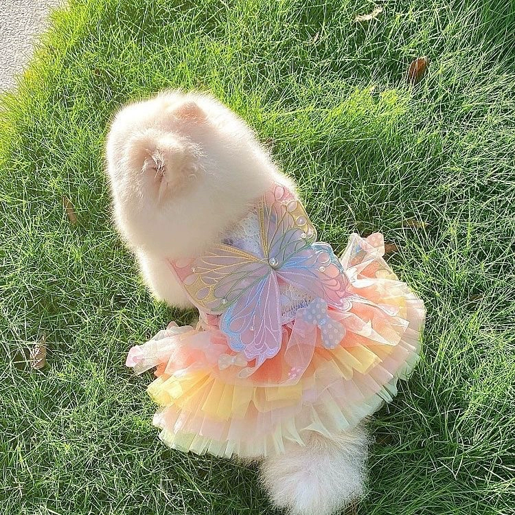 Платье феи для собаки, платье принцессы для кошки, платье принцессы корги, радужная бабочка, пушистая маленькая собака, плюшевая собака