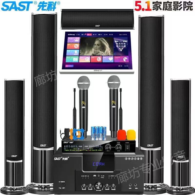 先科（SAST）5.1家庭影院客厅环绕音响套装家用电视K歌重低音组合|undefined