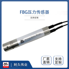 北京耐久伟业 FBG光纤光栅压力传感器 NJ-F-YL02水压力计