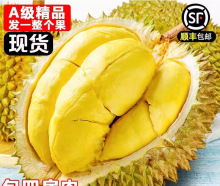 ̩��������ɏ���rˮ��10��һ����������S���]�����M�ڰ�����ɏ��