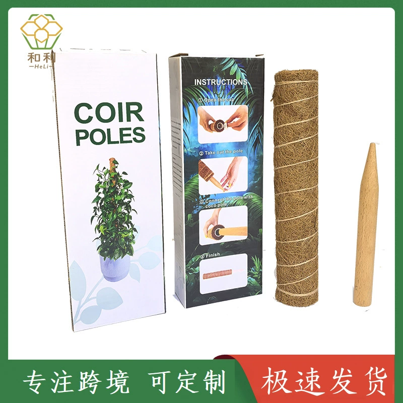 Трансграничная горячая распродажа кокосовая пальма