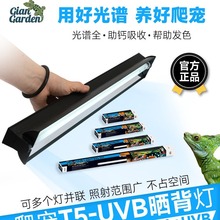 Giangarden巨人爬宠 T5灯具 UVB T5灯管T5灯罩整套定时开关T5灯