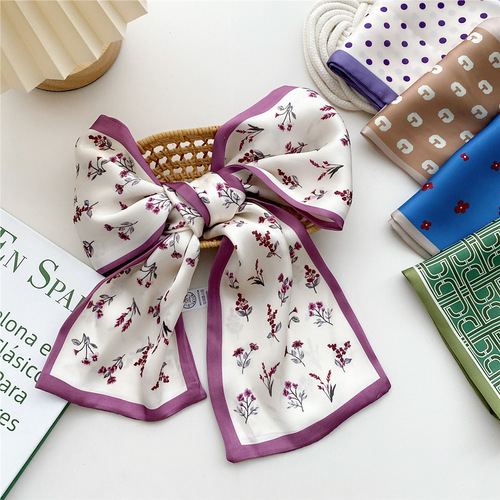 ins small silk scarf women's long Korean style fashion decorative ribbon headband thin long versatile scarf spring and autumn scarf