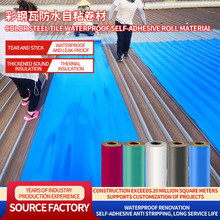 Polymer waterproof membrane for color st���Ҳ�©����ˮ����
