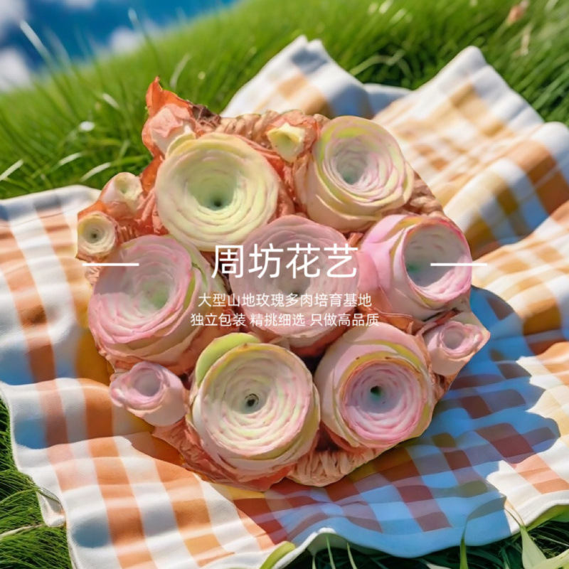 [사무실 디스플레이] 작은 원형 꽃바구니 15cm (배송 준비 완료)