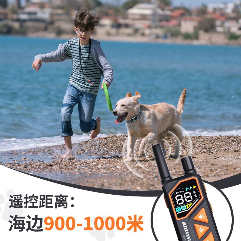 Entrenador de perros AI Nuevo entrenador de perros transfronterizo Amazon éxito Entrenador de perros Amazon Entrenador de perros Amazon Entrenador de perros Amazon