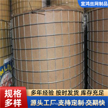 鋼絲網抹牆細鐵絲電焊網批盪掛網冷拔絲養殖隔離鍍鋅鐵絲電焊網片