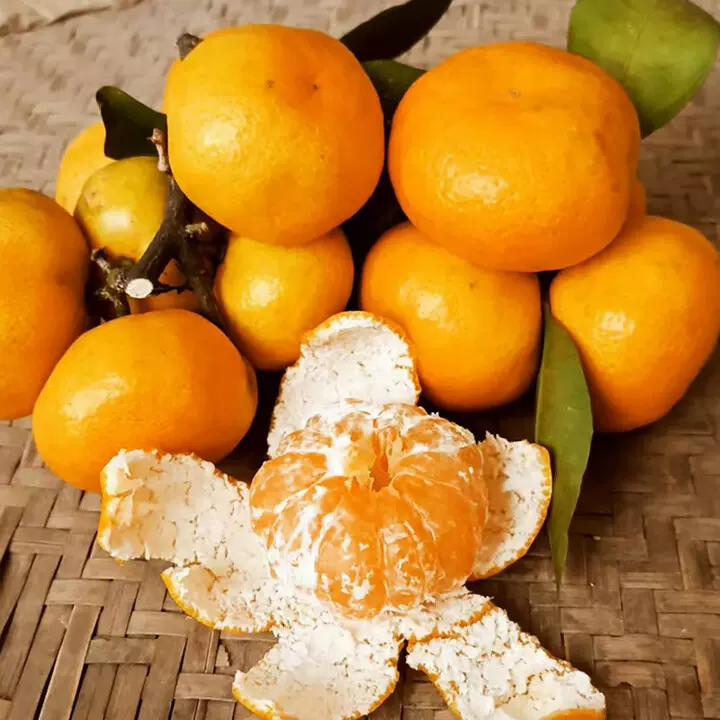 【活动】湖北无籽蜜橘 代发3斤黄蜜桔子当季甜嫩多汁桔子新鲜水果