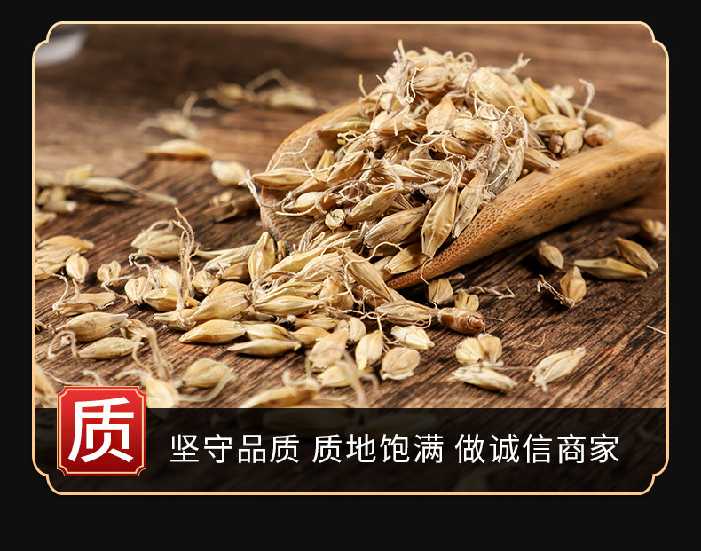 Malt (Hordeum vulgare) — Dried Food-Herb Grain for Tea, Soup & Congee key features