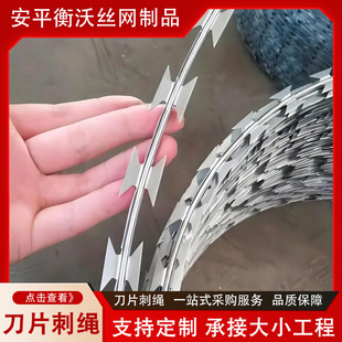 现货刀片刺绳热镀锌双股钢刺绳不锈钢监狱防爬防盗零售刀片刺绳-阿里巴巴