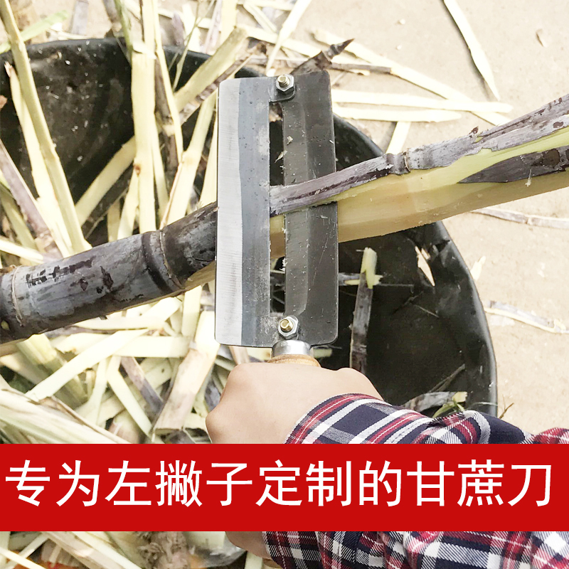 大型高炭素鋼左利き用サトウキビ皮むきナイフ、サトウキビ用ステンレス鋼パイナップルナイフ、左利き用皮むきナイフ、厚く研ぎ可能|undefined